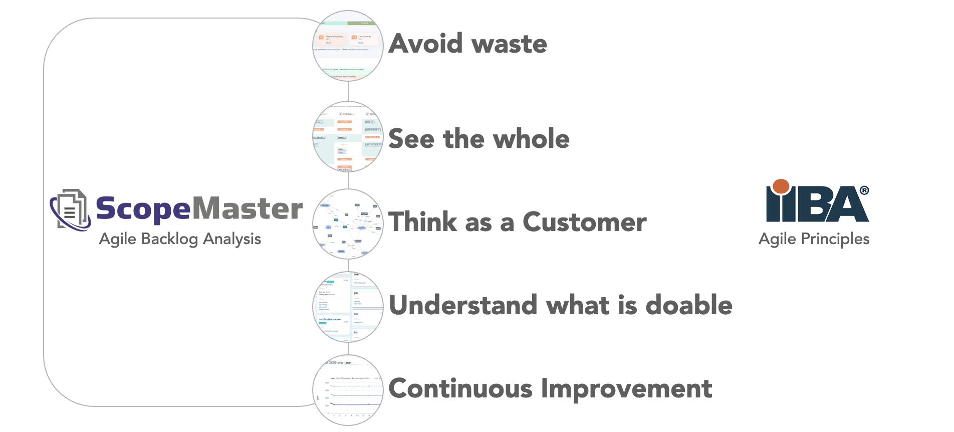 Screenshot che mostra i principi IIBA Agile facilitati da ScopeMaster Principi di analisi aziendale per Agile definiti da IIBA facilitati da ScopeMaster